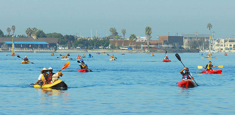mission bay kayak view: kayaking in san diego