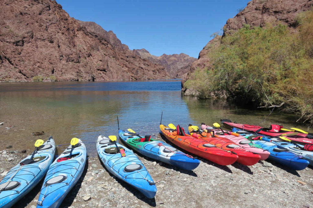 kayaks on shore