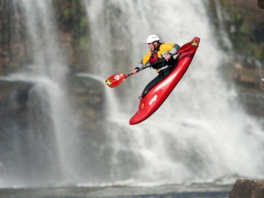 seal launching into rapids