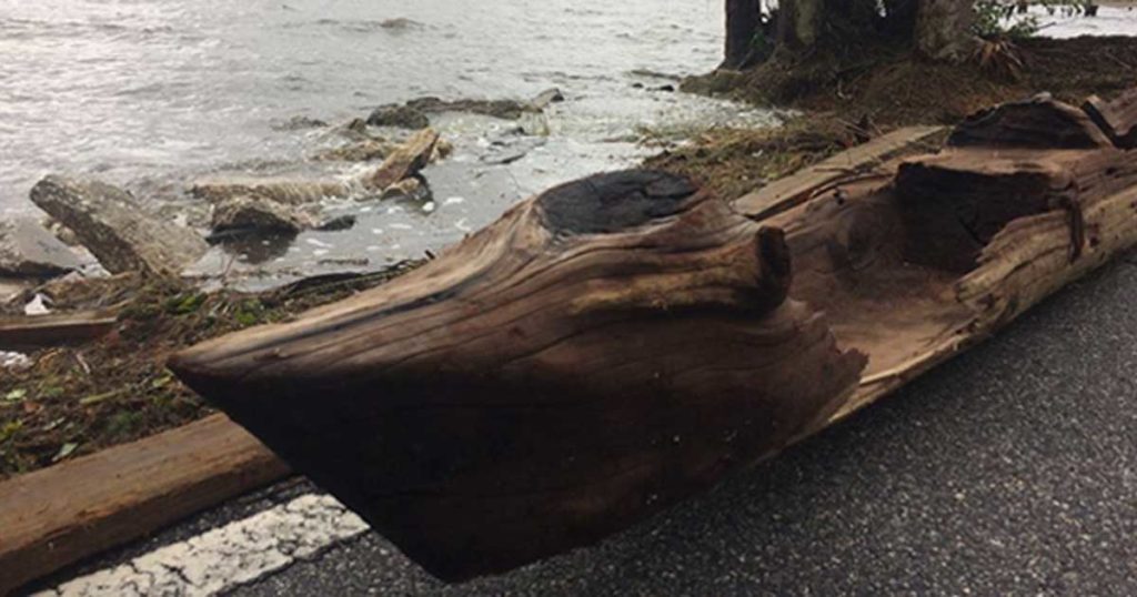 Dugout Canoe Discovered In Florida