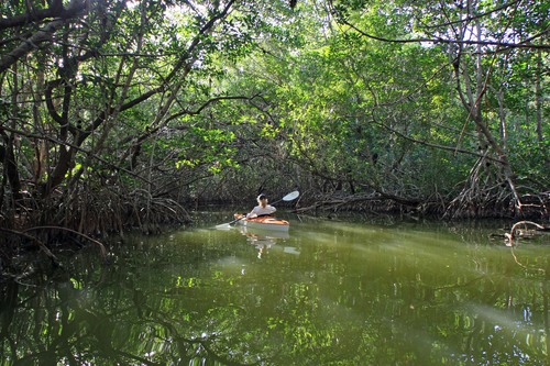 Kayaking and camping in the everglades