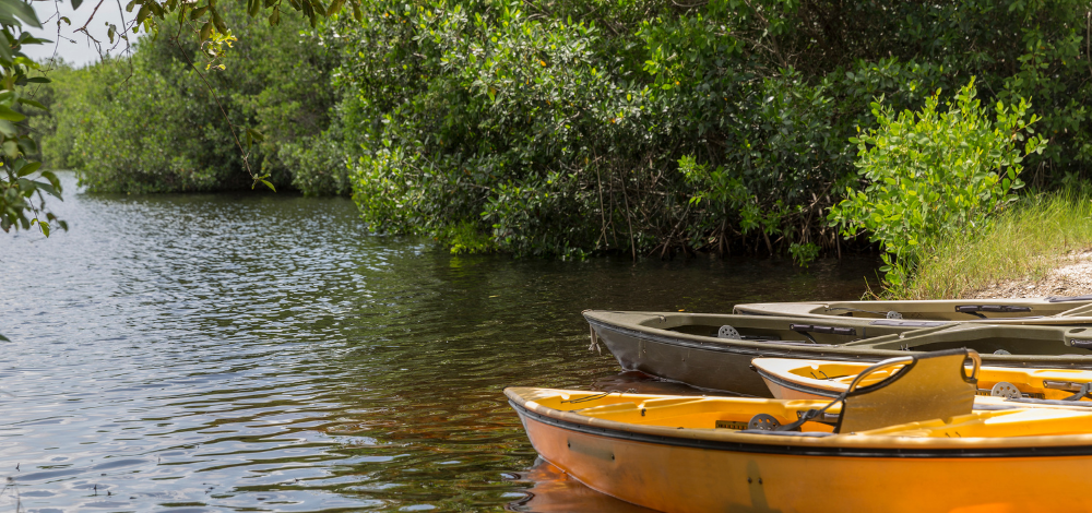 kayaks at shore of a calm lake