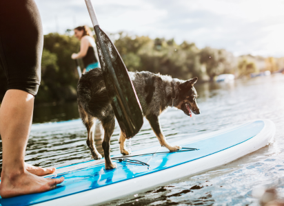 paddle for a paddleboard